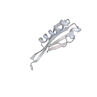13955_7qgh_9_v1-2
Structure of the E. coli disome - collided 70S ribosome