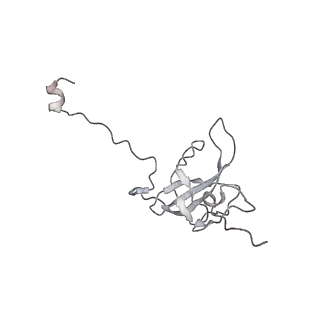 13955_7qgh_B_v1-2
Structure of the E. coli disome - collided 70S ribosome