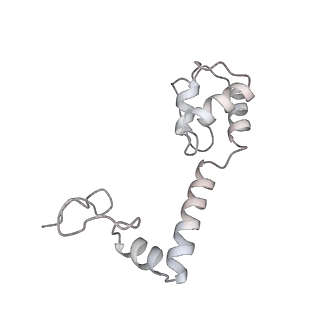 13955_7qgh_D_v1-2
Structure of the E. coli disome - collided 70S ribosome