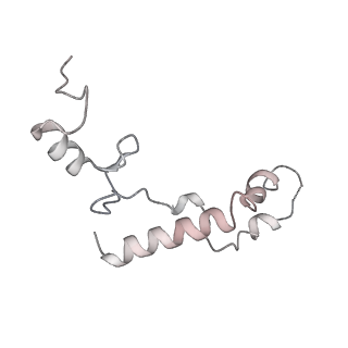 13955_7qgh_E_v1-2
Structure of the E. coli disome - collided 70S ribosome