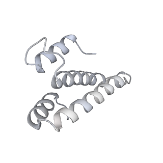 13955_7qgh_F_v1-2
Structure of the E. coli disome - collided 70S ribosome