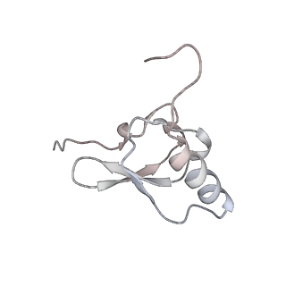 13955_7qgh_J_v1-2
Structure of the E. coli disome - collided 70S ribosome