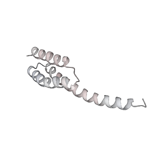 13955_7qgh_K_v1-2
Structure of the E. coli disome - collided 70S ribosome