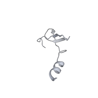13955_7qgh_L_v1-2
Structure of the E. coli disome - collided 70S ribosome