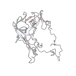 13955_7qgh_P_v1-2
Structure of the E. coli disome - collided 70S ribosome