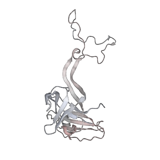 13955_7qgh_Q_v1-2
Structure of the E. coli disome - collided 70S ribosome