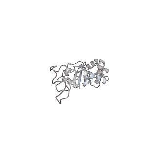 13955_7qgh_R_v1-2
Structure of the E. coli disome - collided 70S ribosome