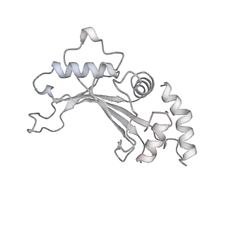 13955_7qgh_S_v1-2
Structure of the E. coli disome - collided 70S ribosome
