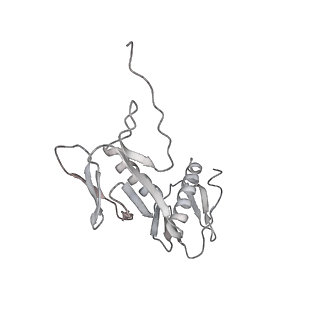13955_7qgh_T_v1-2
Structure of the E. coli disome - collided 70S ribosome