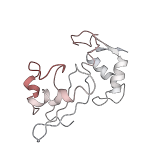 13955_7qgh_V_v1-2
Structure of the E. coli disome - collided 70S ribosome