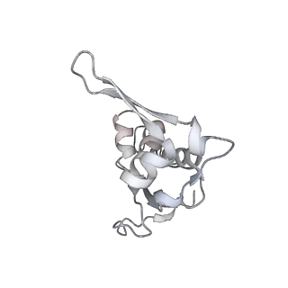 13955_7qgh_W_v1-2
Structure of the E. coli disome - collided 70S ribosome