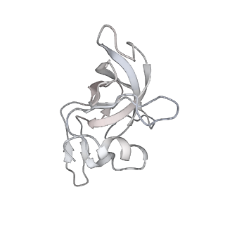 13955_7qgh_X_v1-2
Structure of the E. coli disome - collided 70S ribosome
