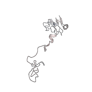 13955_7qgh_Y_v1-2
Structure of the E. coli disome - collided 70S ribosome