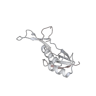 13955_7qgh_Z_v1-2
Structure of the E. coli disome - collided 70S ribosome