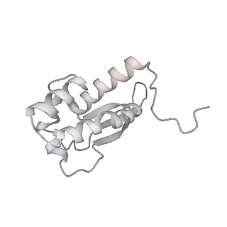 13955_7qgh_a_v1-2
Structure of the E. coli disome - collided 70S ribosome
