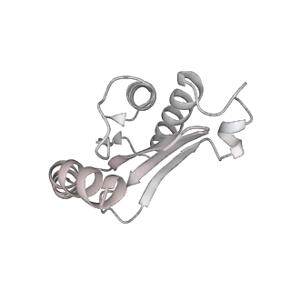 13955_7qgh_b_v1-2
Structure of the E. coli disome - collided 70S ribosome