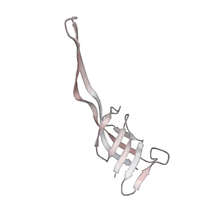 13955_7qgh_e_v1-2
Structure of the E. coli disome - collided 70S ribosome