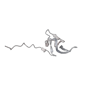 13955_7qgh_j_v1-2
Structure of the E. coli disome - collided 70S ribosome
