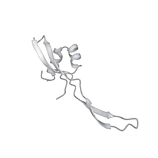 13955_7qgh_k_v1-2
Structure of the E. coli disome - collided 70S ribosome
