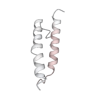 13955_7qgh_l_v1-2
Structure of the E. coli disome - collided 70S ribosome