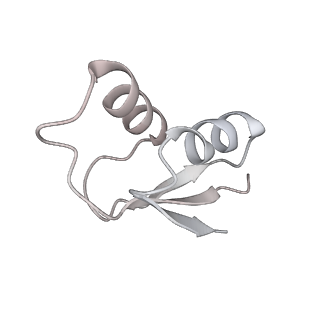 13955_7qgh_m_v1-2
Structure of the E. coli disome - collided 70S ribosome