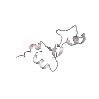 13955_7qgh_q_v1-2
Structure of the E. coli disome - collided 70S ribosome