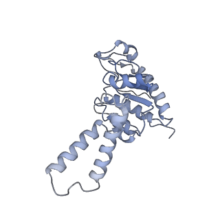 13956_7qgn_1_v1-0
Structure of the SmrB-bound E. coli disome - stalled 70S ribosome