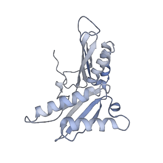 13956_7qgn_2_v1-0
Structure of the SmrB-bound E. coli disome - stalled 70S ribosome