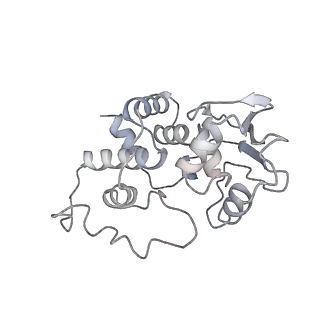 13956_7qgn_3_v1-0
Structure of the SmrB-bound E. coli disome - stalled 70S ribosome