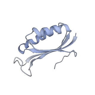 13956_7qgn_5_v1-0
Structure of the SmrB-bound E. coli disome - stalled 70S ribosome