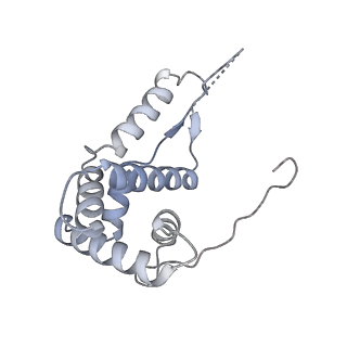 13956_7qgn_6_v1-0
Structure of the SmrB-bound E. coli disome - stalled 70S ribosome