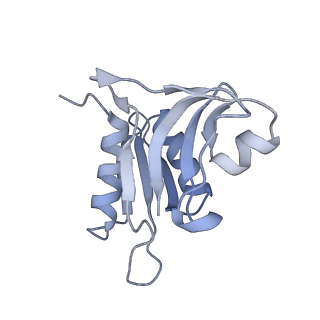 13956_7qgn_7_v1-0
Structure of the SmrB-bound E. coli disome - stalled 70S ribosome