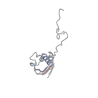 13956_7qgn_8_v1-0
Structure of the SmrB-bound E. coli disome - stalled 70S ribosome
