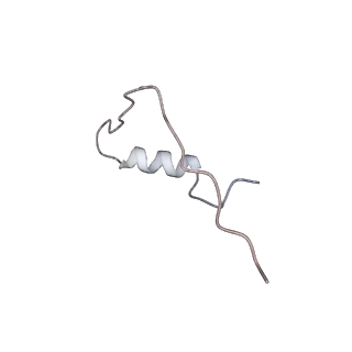 13956_7qgn_B_v1-0
Structure of the SmrB-bound E. coli disome - stalled 70S ribosome
