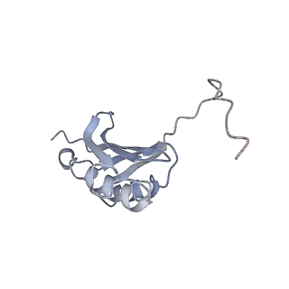 13956_7qgn_D_v1-0
Structure of the SmrB-bound E. coli disome - stalled 70S ribosome