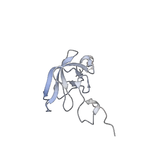 13956_7qgn_E_v1-0
Structure of the SmrB-bound E. coli disome - stalled 70S ribosome