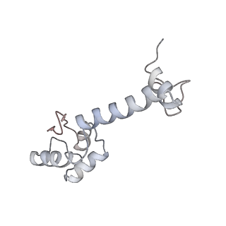 13956_7qgn_F_v1-0
Structure of the SmrB-bound E. coli disome - stalled 70S ribosome