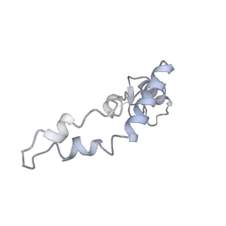 13956_7qgn_G_v1-0
Structure of the SmrB-bound E. coli disome - stalled 70S ribosome