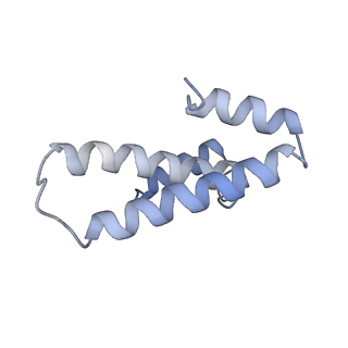 13956_7qgn_H_v1-0
Structure of the SmrB-bound E. coli disome - stalled 70S ribosome