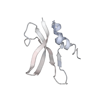 13956_7qgn_I_v1-0
Structure of the SmrB-bound E. coli disome - stalled 70S ribosome