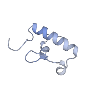 13956_7qgn_K_v1-0
Structure of the SmrB-bound E. coli disome - stalled 70S ribosome