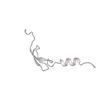 13956_7qgn_L_v1-0
Structure of the SmrB-bound E. coli disome - stalled 70S ribosome