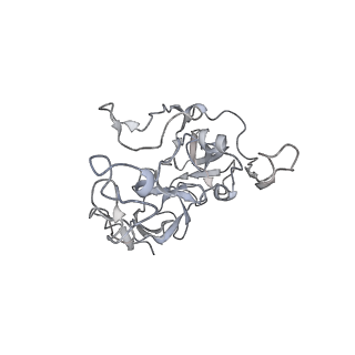 13956_7qgn_P_v1-0
Structure of the SmrB-bound E. coli disome - stalled 70S ribosome