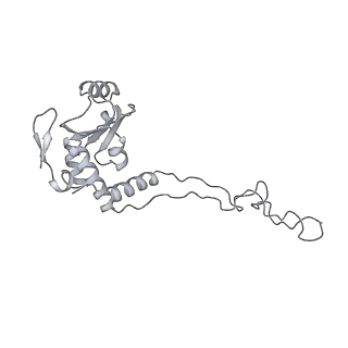 13956_7qgn_R_v1-0
Structure of the SmrB-bound E. coli disome - stalled 70S ribosome