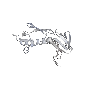 13956_7qgn_T_v1-0
Structure of the SmrB-bound E. coli disome - stalled 70S ribosome