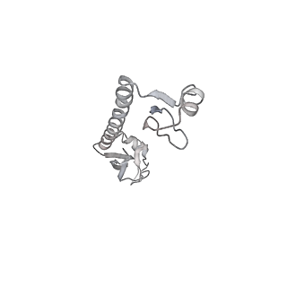 13956_7qgn_U_v1-0
Structure of the SmrB-bound E. coli disome - stalled 70S ribosome