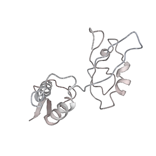 13956_7qgn_V_v1-0
Structure of the SmrB-bound E. coli disome - stalled 70S ribosome
