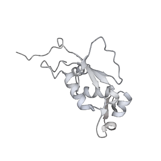 13956_7qgn_W_v1-0
Structure of the SmrB-bound E. coli disome - stalled 70S ribosome