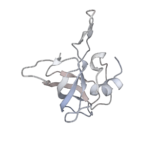13956_7qgn_X_v1-0
Structure of the SmrB-bound E. coli disome - stalled 70S ribosome