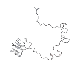 13956_7qgn_Y_v1-0
Structure of the SmrB-bound E. coli disome - stalled 70S ribosome